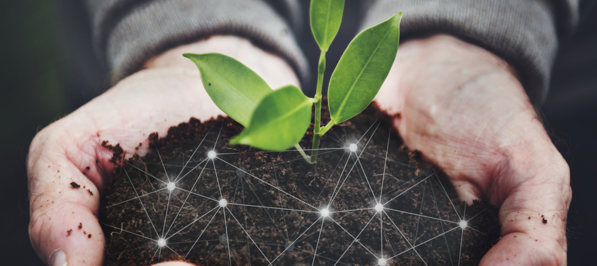 Κοντά στο Νέο Αγρότη