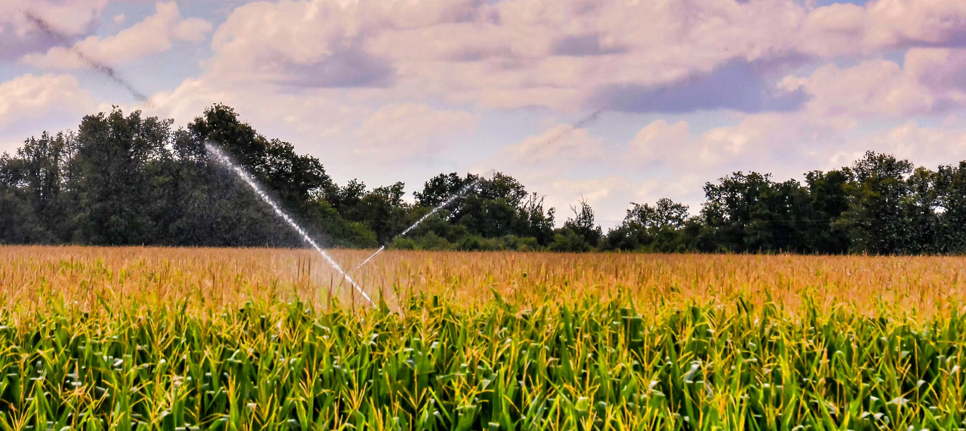 Εξοικονόμηση Πολύτιμων Πόρων