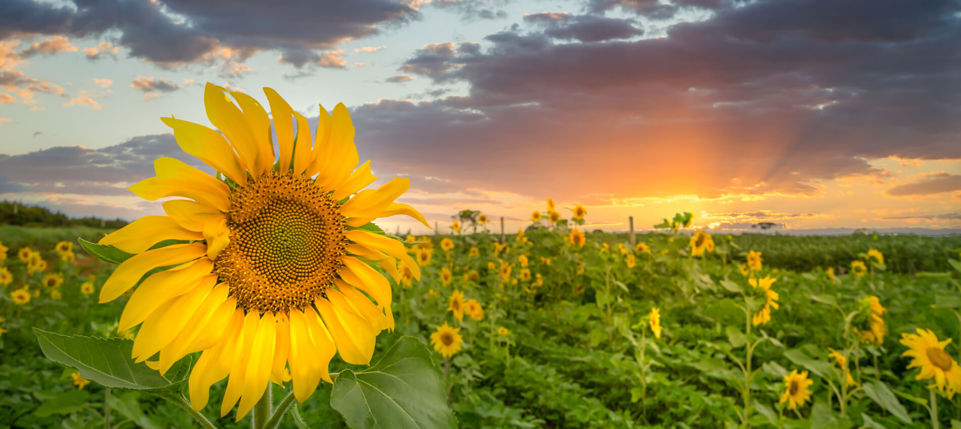 Αύξηση της Προστιθέμενης Αξίας