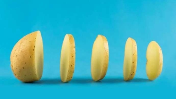 Primura Potato: Ποιότητα και προσαρμοστικότητα