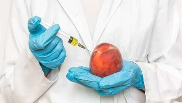 Monilinia fructicola: καλά νέα από τη γενετική