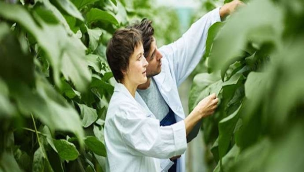 Αυτη είναι η πιο σημαντική εγκατάσταση αγροτικής έρευνας στον κόσμο