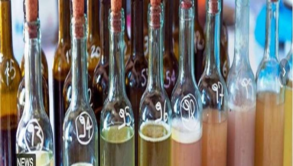 Παρακολούθηση της ωρίμανσης των σταφυλιών με βολταμμετρία