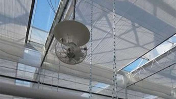 Η Planasa αποκαλύπτει θερμοκήπιο υψηλής τεχνολογίας με σμέουρα