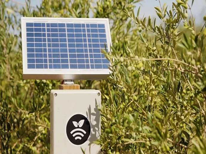 Η Plantae καινοτομεί με τεχνητή νοημοσύνη και αισθητήρες για να προβλέπει τις ανάγκες σε νερό σε περισσότερες από 80 καλλιέργειες.