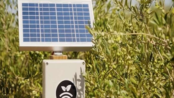 Η Plantae καινοτομεί με τεχνητή νοημοσύνη και αισθητήρες για να προβλέπει τις ανάγκες σε νερό σε περισσότερες από 80 καλλιέργειες.