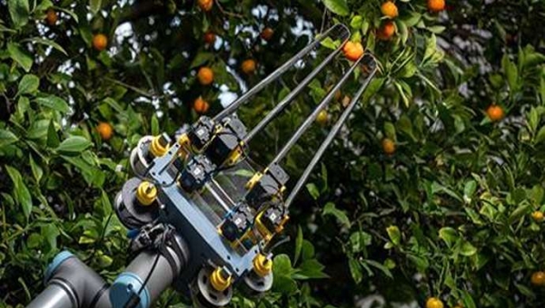 Ερευνητές από το Σαν Ντιέγκο αποκαλύπτουν νέο σχεδιασμό ρομποτικού συλλέκτη