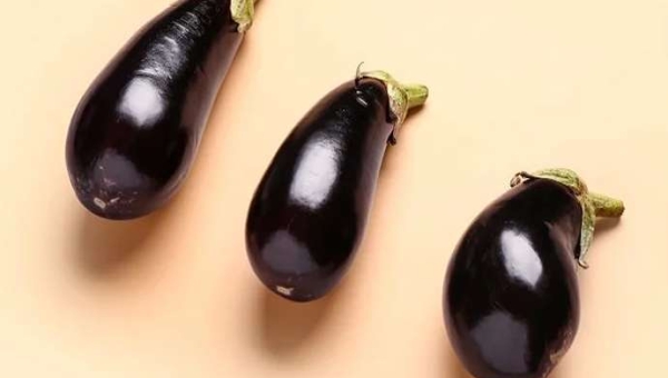 Παράσιτα μελιτζάνας: Μια βάση δεδομένων για την ανίχνευσή τους