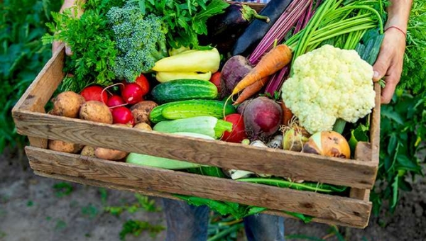 Καλοκαιρινή συγκομιδή: Λαχανικά, βότανα & άλλα