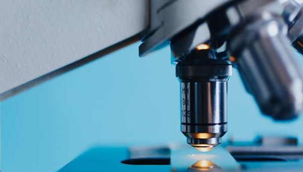 Ιάπωνες βρήκαν πώς να κρατήσουν ζωντανή την υδροξυτυροσόλη του ελαιολάδου