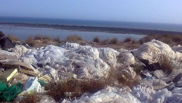 Το Πανεπιστήμιο της Αλμερίας αναπτύσσει μια μέθοδο για την αποκατάσταση εδαφών που έχουν μολυνθεί από πλαστικά