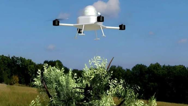 Drones και ρομπότ που συλλέγουν ελιές: μέλλον ή επιστημονική φαντασία;