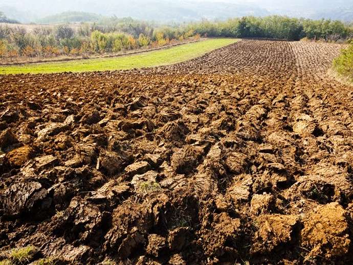 Το έδαφος κινδυνεύει: τα νέα δεδομένα του FAO είναι ανησυχητικά