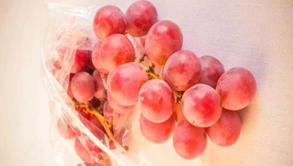 Τραγανά σταφύλια: πώς να τα διατηρήσετε μετά τη συγκομιδή