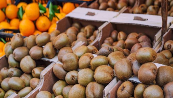 Ποιοτικές αποκλίσεις στα ακτινίδια και η επίπτωση τους στην εμπορική αξία