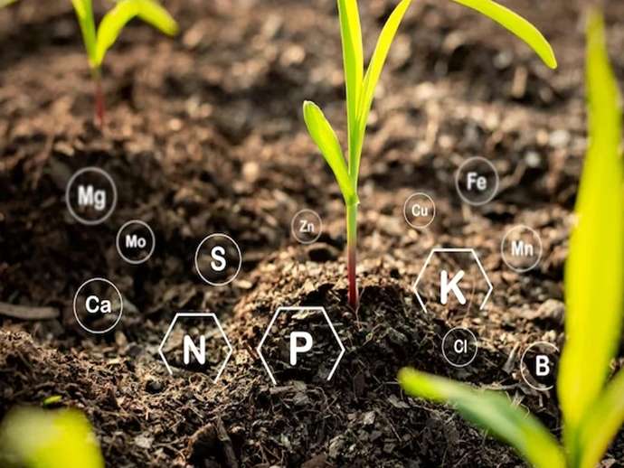 Νανολιπάσματα στην βιώσιμη γεωργία: τεχνολογία και εφαρμογές