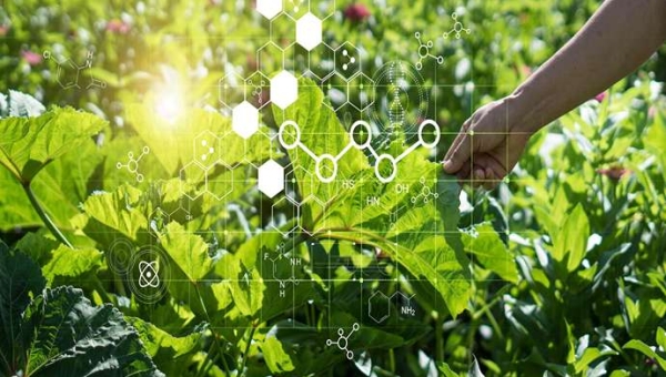 Νανολιπάσματα και σύγχρονη έρευνα