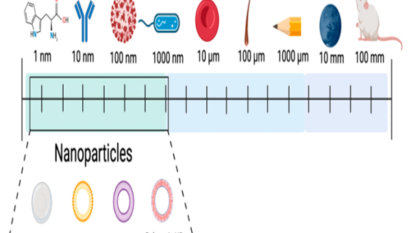 Ακτινίδια που λάμπουν: Πώς τα νανολιπάσματα αλλάζουν τα πάντα
