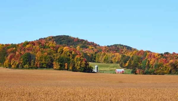 Κρατήστε τους αγρότες στο χωράφι