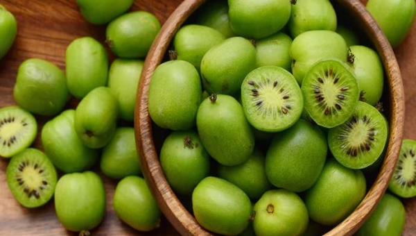 Γεωργία ακριβείας στη μίνι ακτινιδιά: πώς τα UAV και η μηχανική μάθηση αλλάζουν τη διαχείριση αζώτου