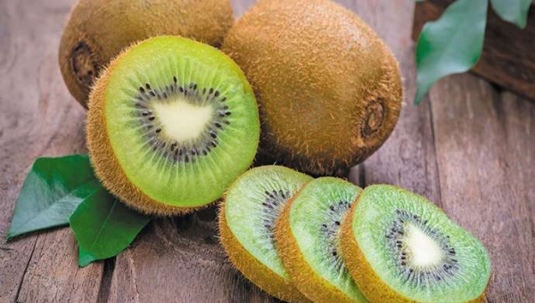 Ισοζύγιο CO₂ σε ακτινιδεώνα στην Ελλάδα