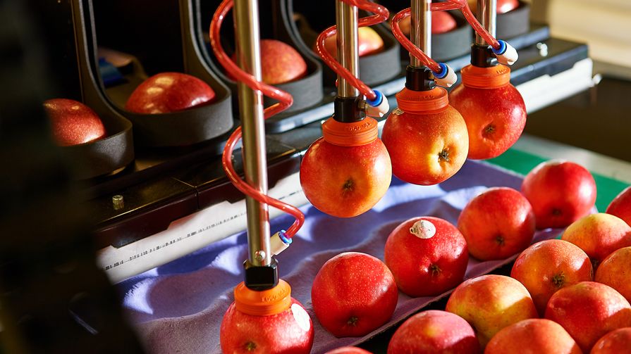 Apple Packer Robotics Plus.a6cbc3cf