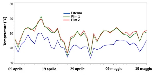 Figura 4. Temperature medie giornaliere registrate a 2 m dal suolo in due vigneti attigui sottoposti a semi forzatura precoce con due film plastici polimero LDPE spessore 200
