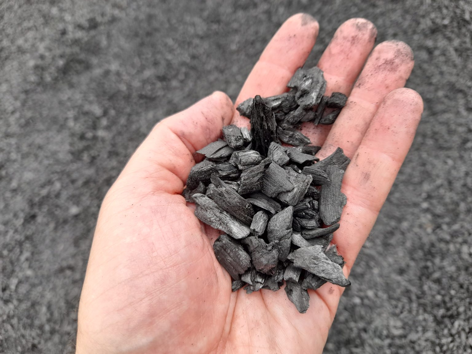HellaBiom Biochar 01 1BIOMAZA 1536x1152