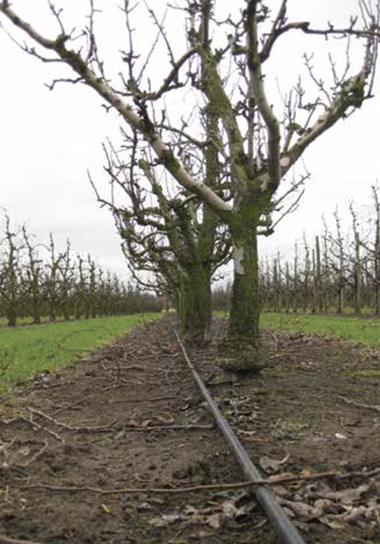 Irrigation