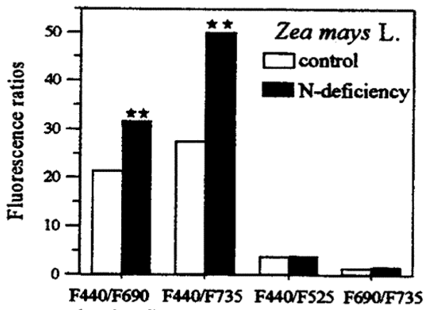 Light Fluorescence Ratios 2.png