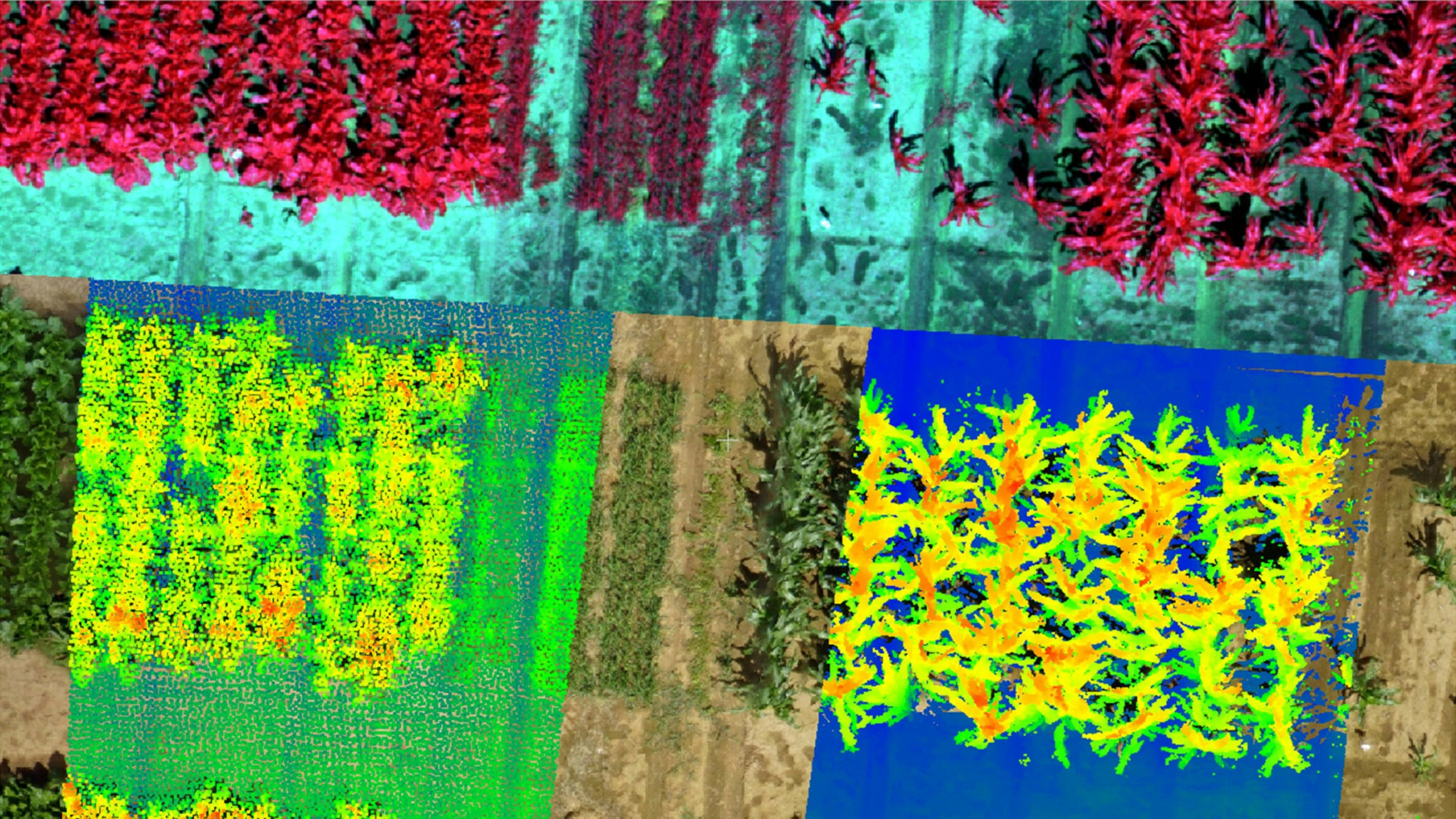 MultiDataField AnsgarDreier UniBonn 1 2048x1152