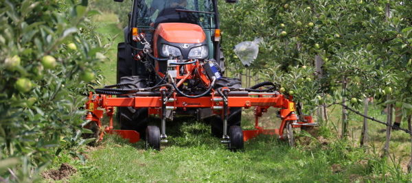 O Mechanical weed control IMG 8823 600