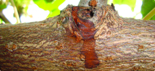 Panel 12 image CMYK 0