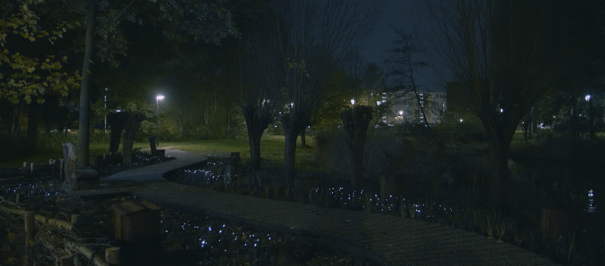 Parkvanmorgen