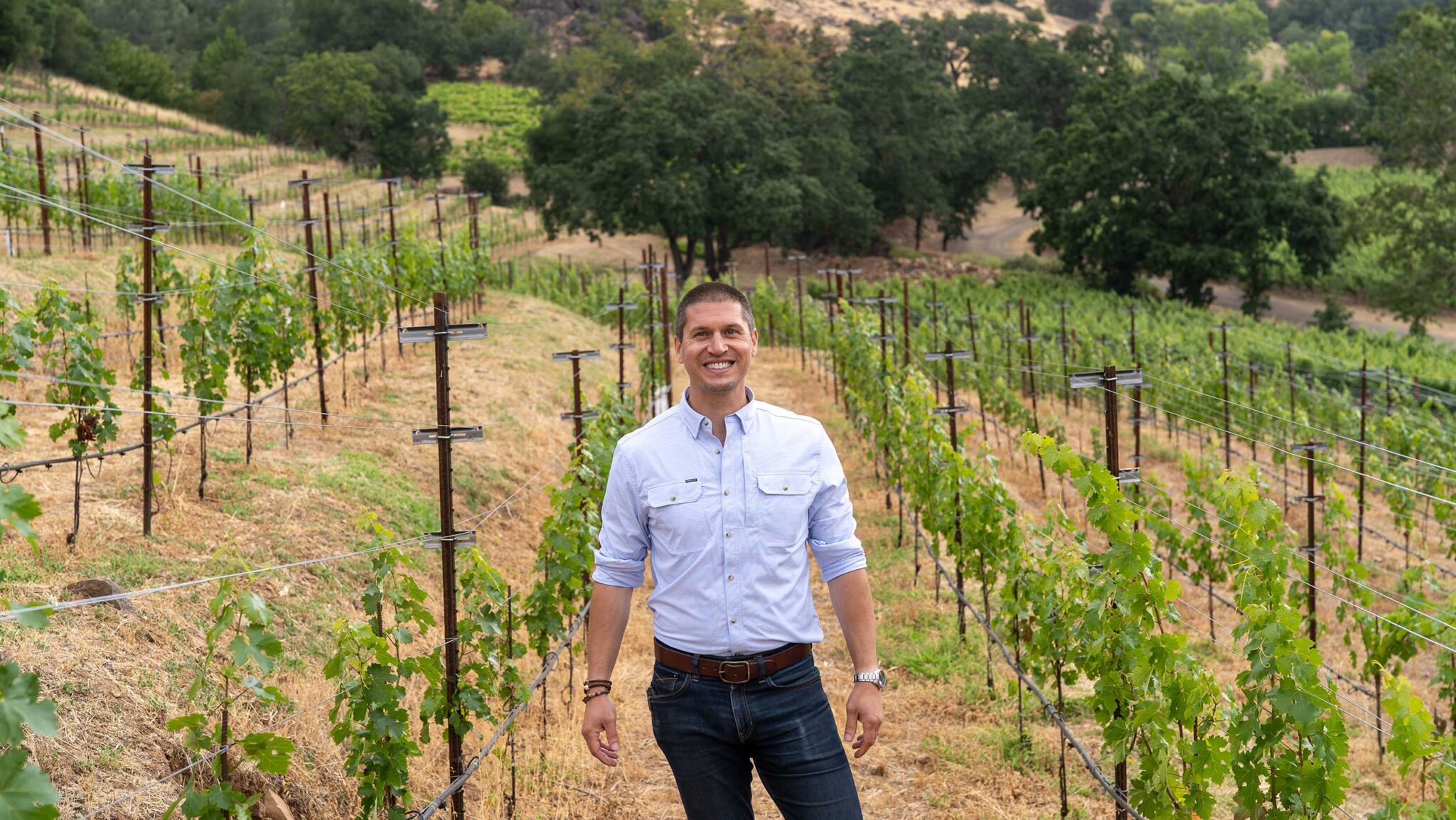 SFD Vine Density Matt Crafton Chateau Montelena CO Chateau Montelena 2048x1154