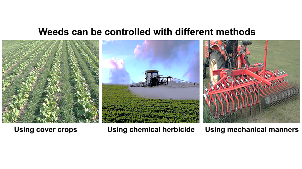 W 01500 05 Precision Agriculture Rs Right Manner