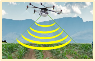 W 01563 drone corn field