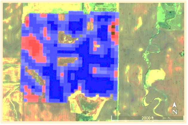 W 01563 vegetation index NDVI map