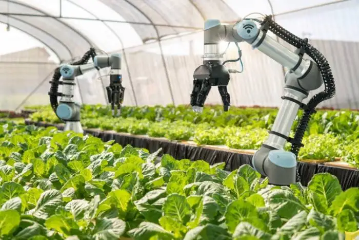 agricoltura 4.0 software mercato tecnologie