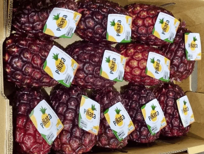 ananas viola pinata 1