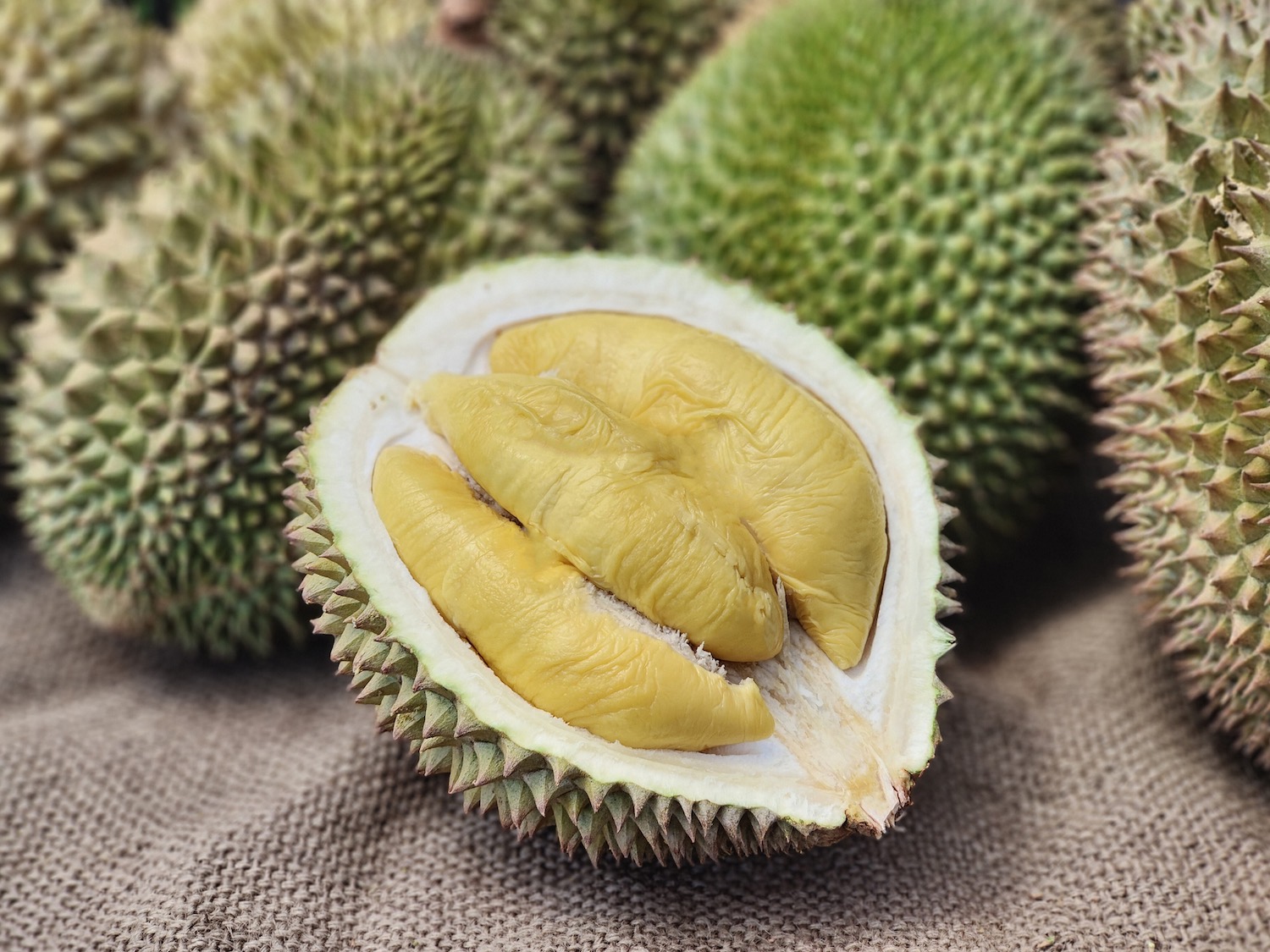 durian