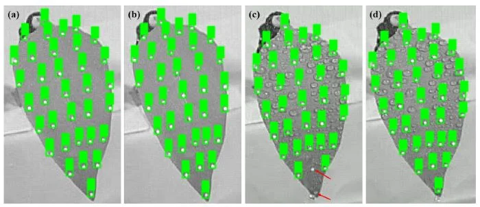 lintelligenza artificiale 5