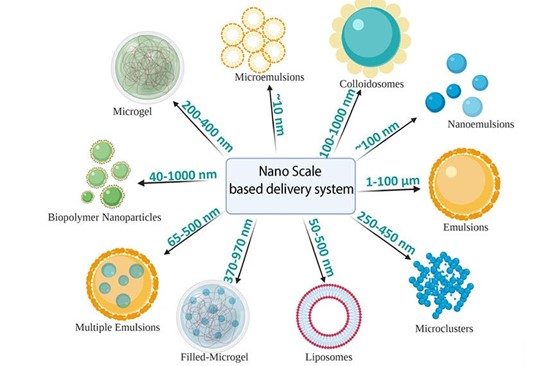 nanotechnology in agriculture 4