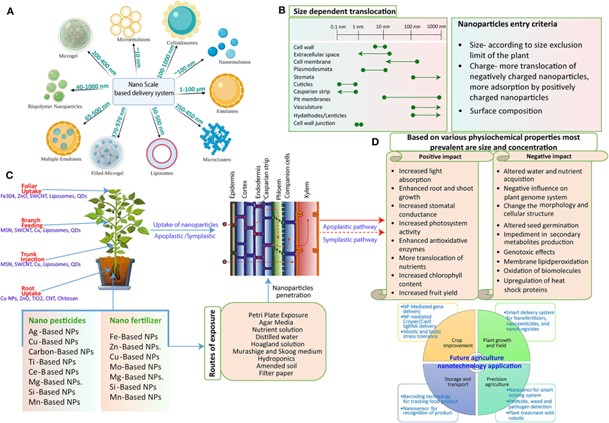 nanotechnology in agriculture