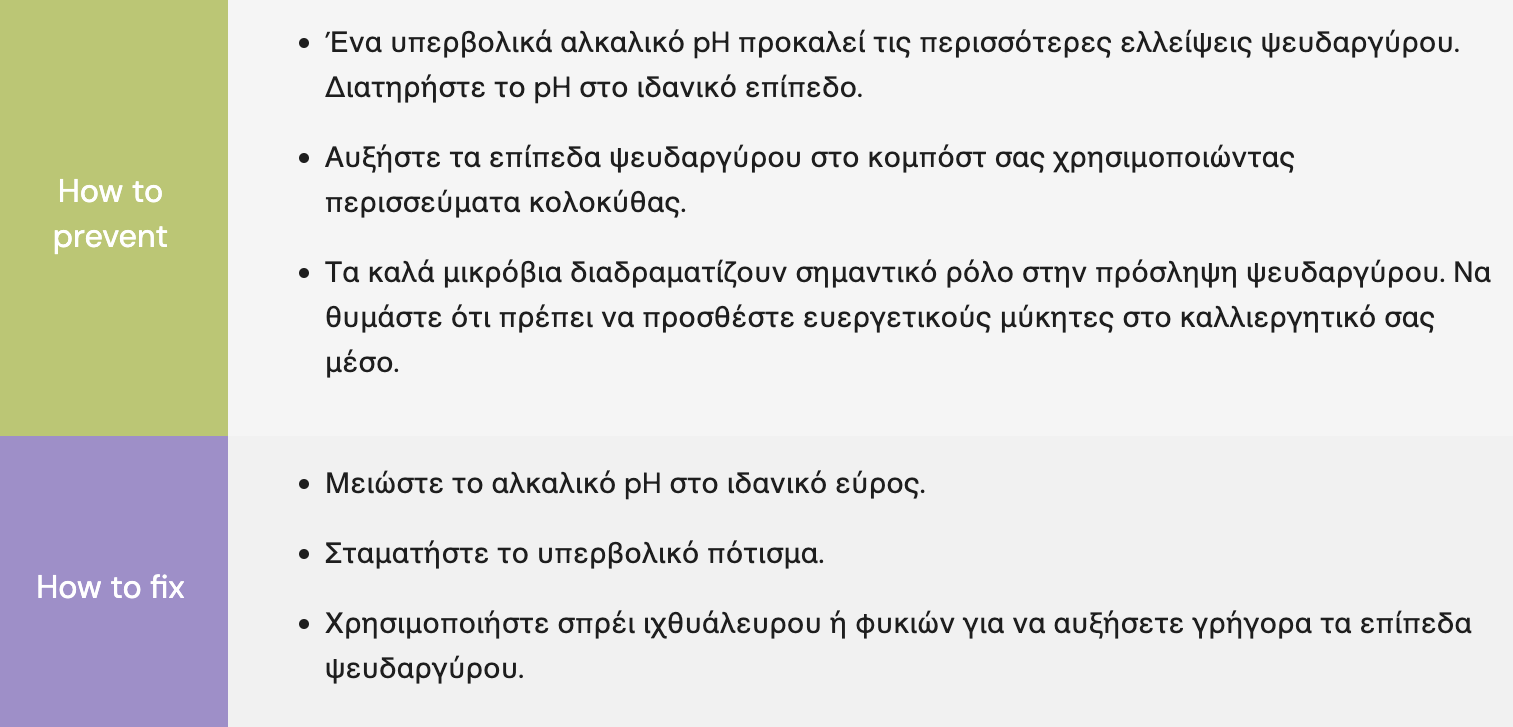 psevda