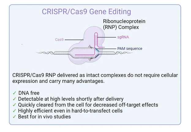 saving crops from powdery mildew with crispr cas9 genedi eting 2