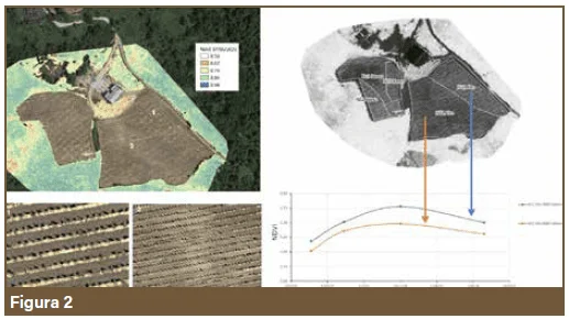 soil health 2 1