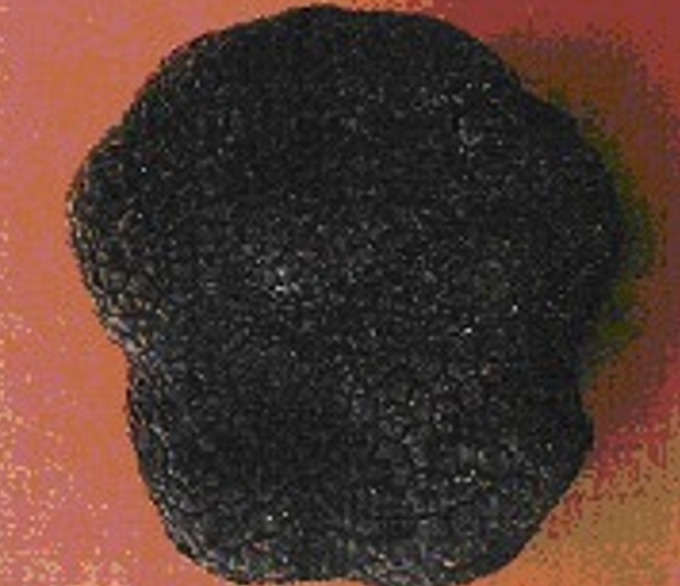 truffle6