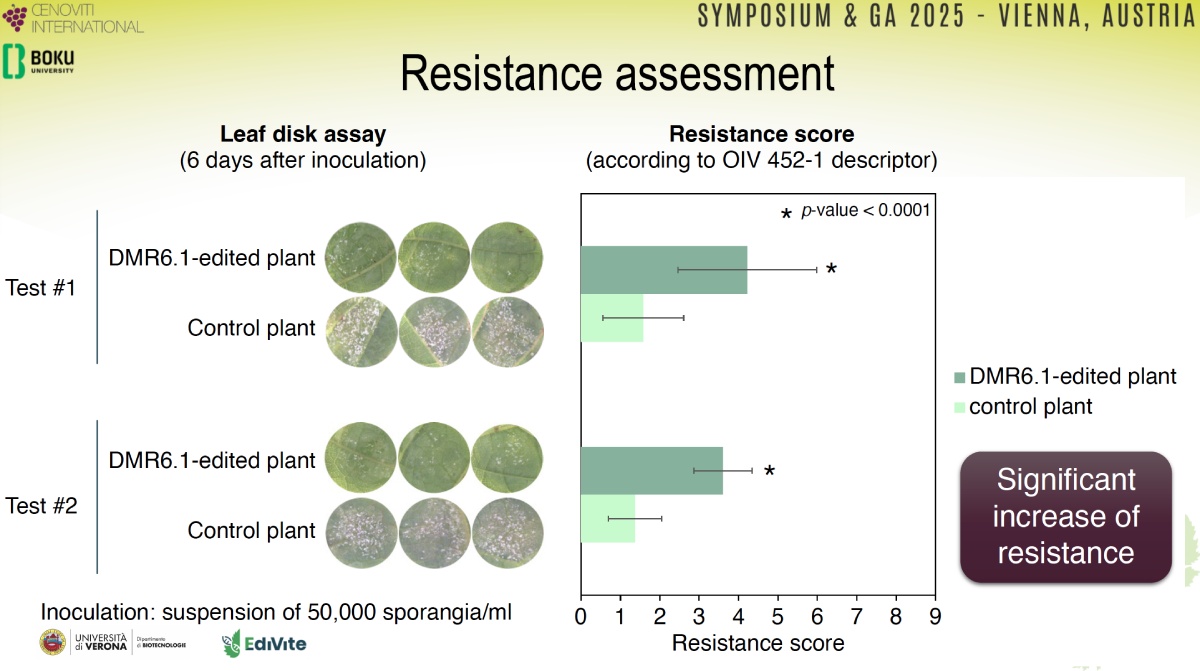 viti resistenza univerona 1200